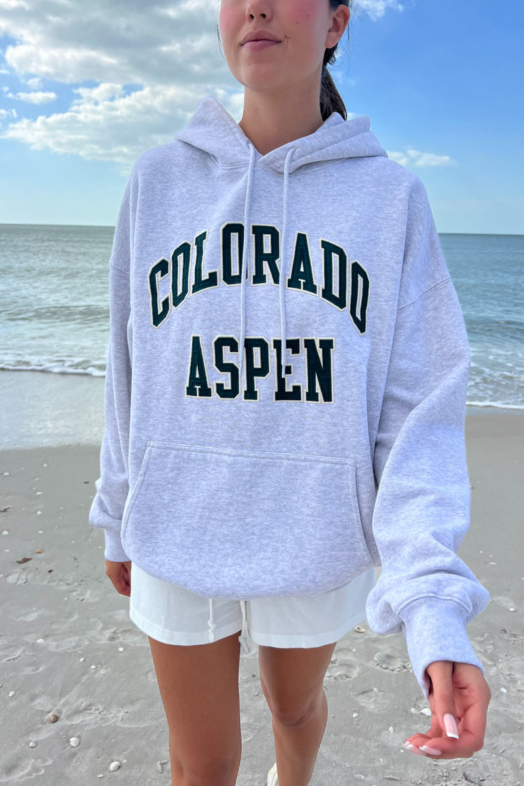 Chicago Colorado Aspen Hoodie | Silver Grey / Oversized Fit