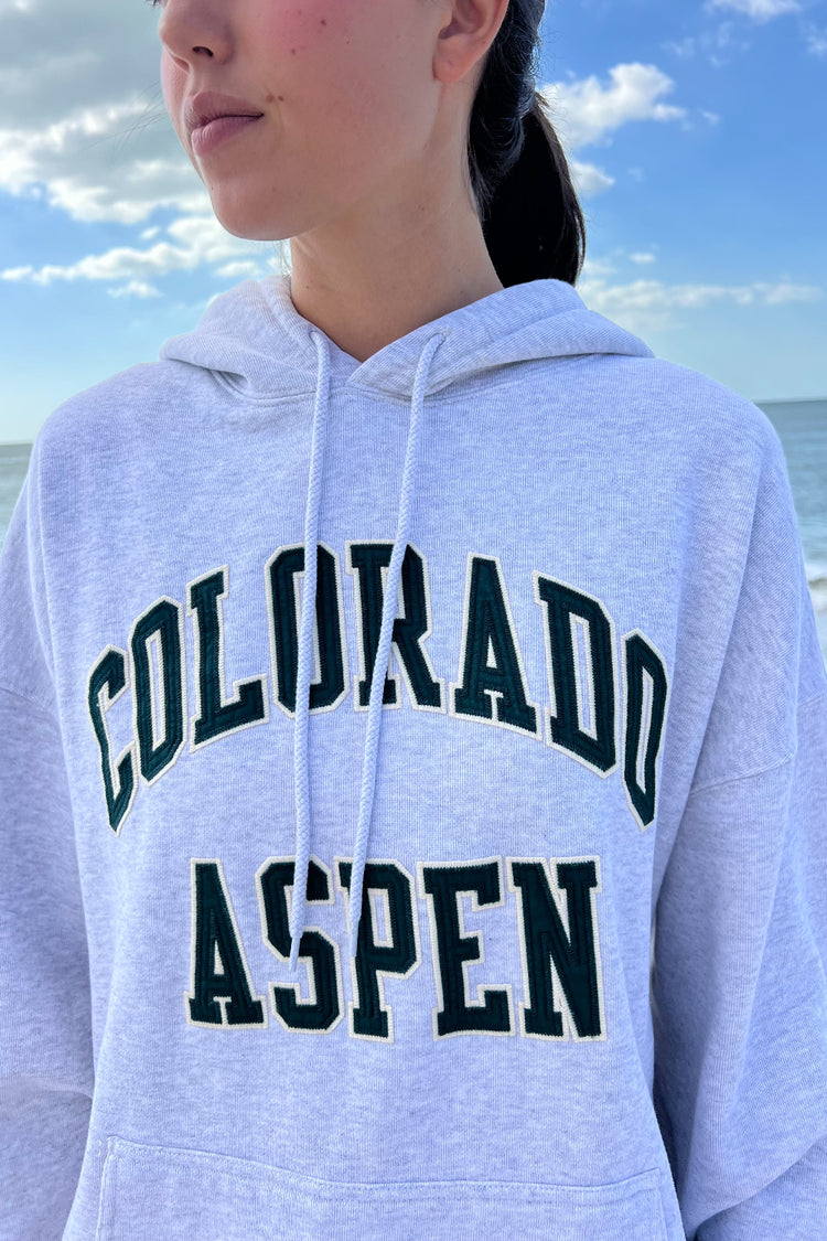 Chicago Colorado Aspen Hoodie | Silver Grey / Oversized Fit