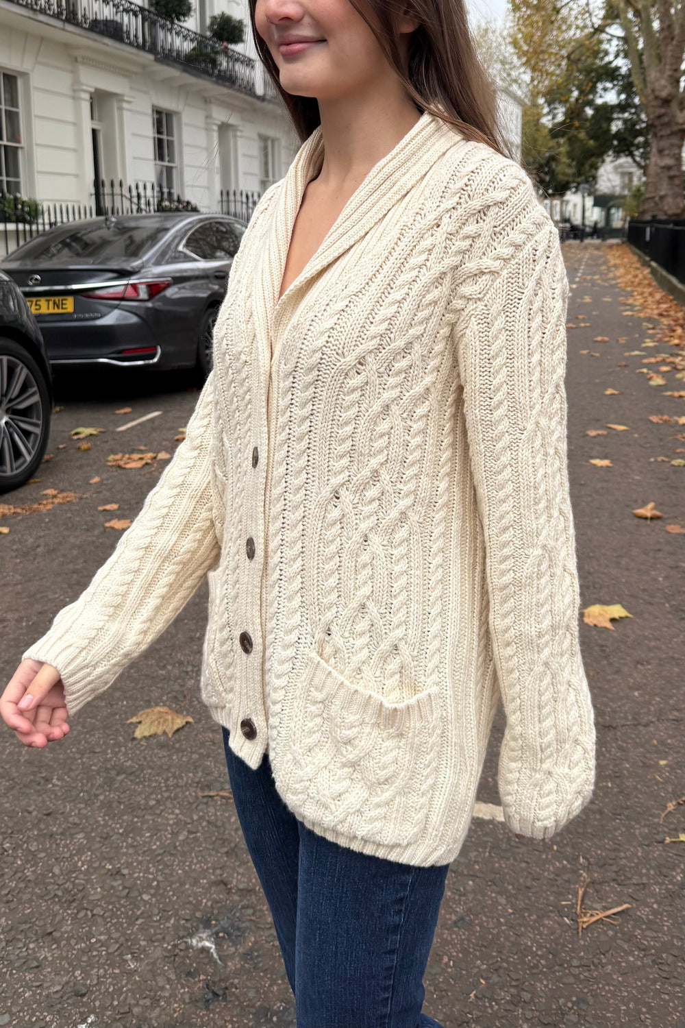 Margot Cable Knit Cardigan | Ivory / S/M