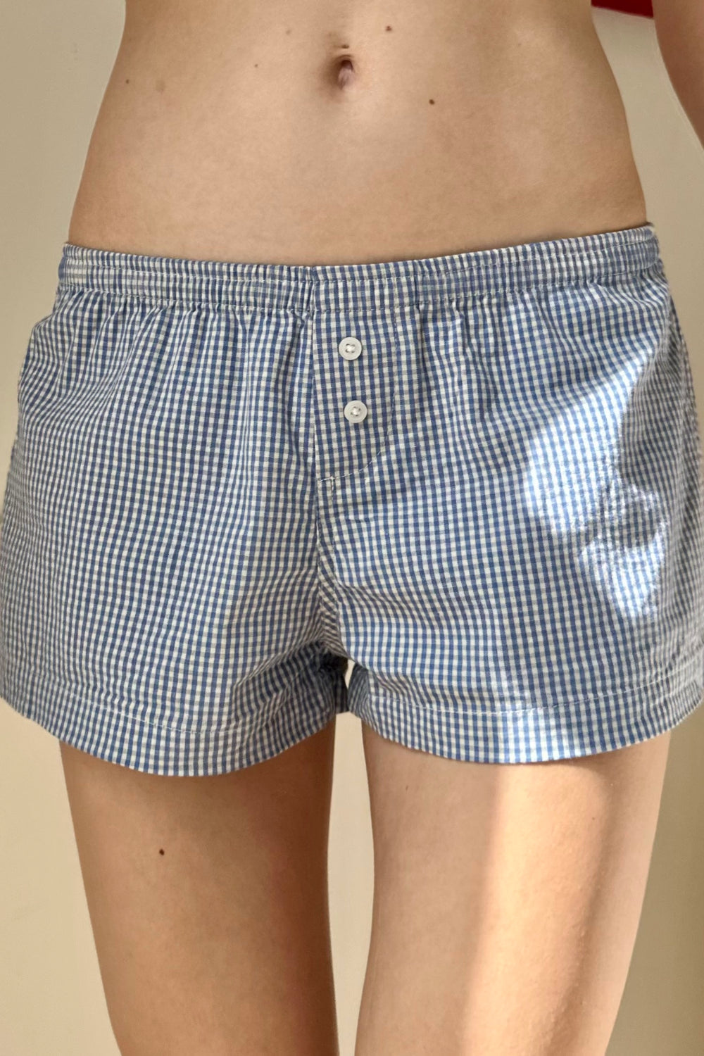 Blue Gingham / XS/S