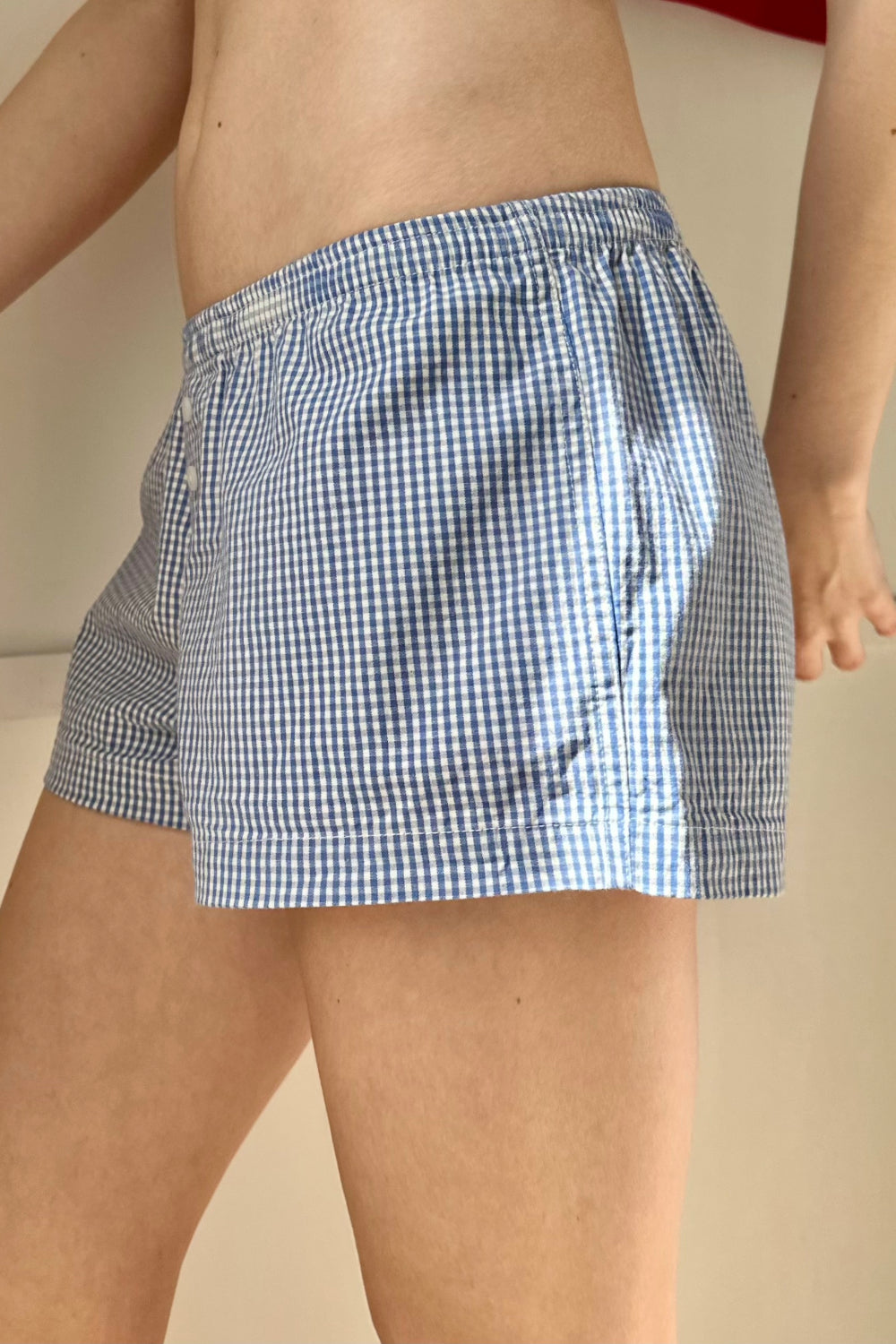 Blue Gingham / XS/S