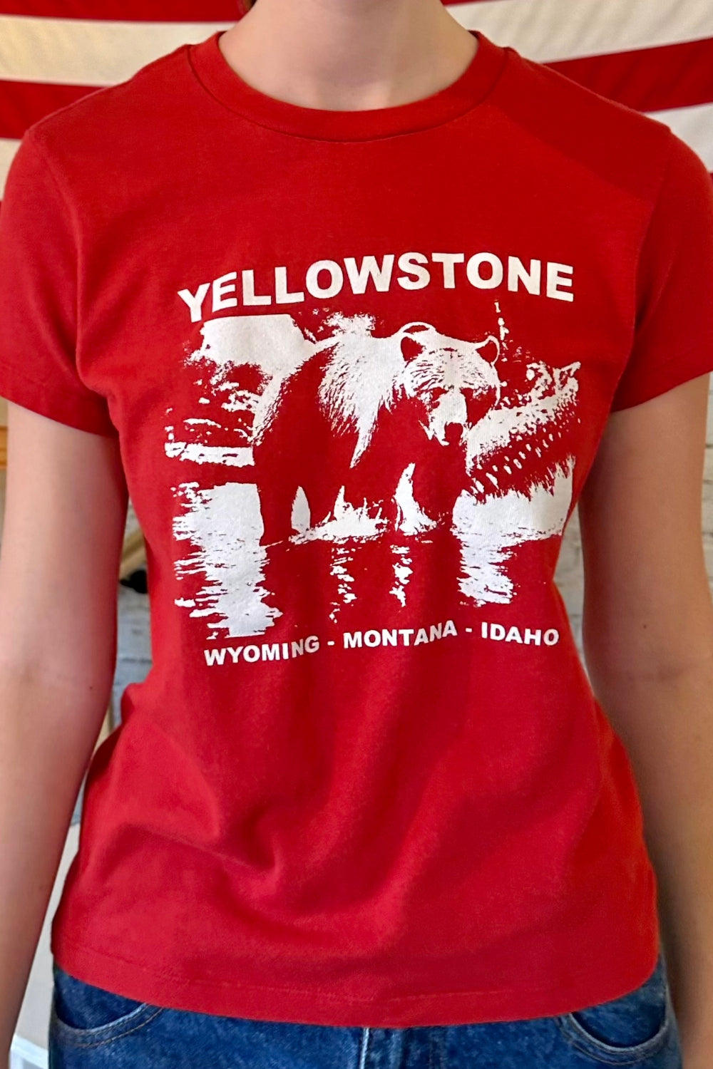 Chloe Yellowstone Top Brandy Melville UK