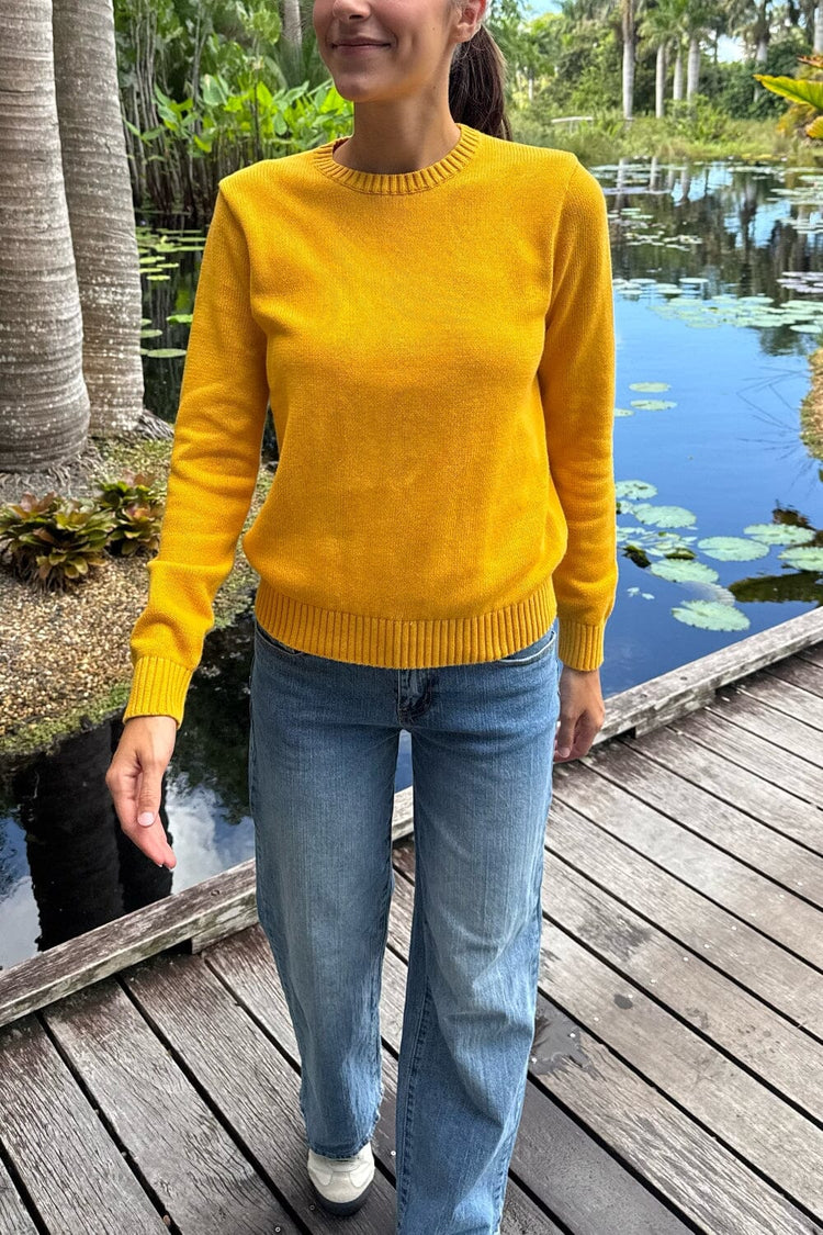 Brianna Cotton Sweater | Mustard Yellow / Regular Fit