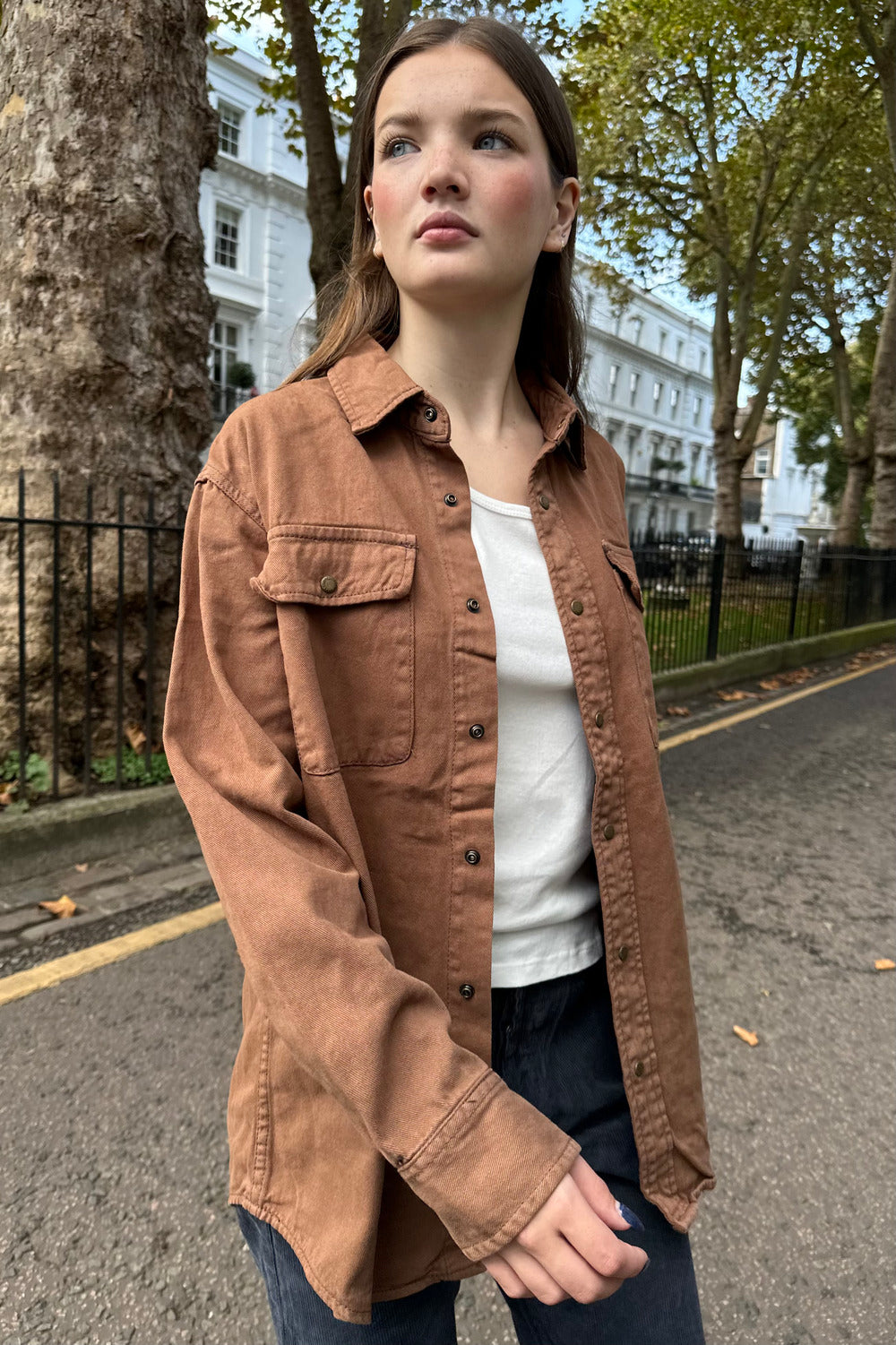Brown / Regular Fit