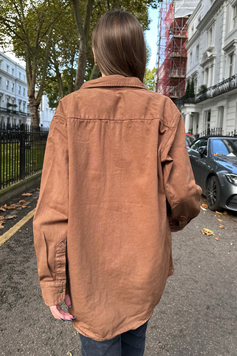 Brown / Regular Fit