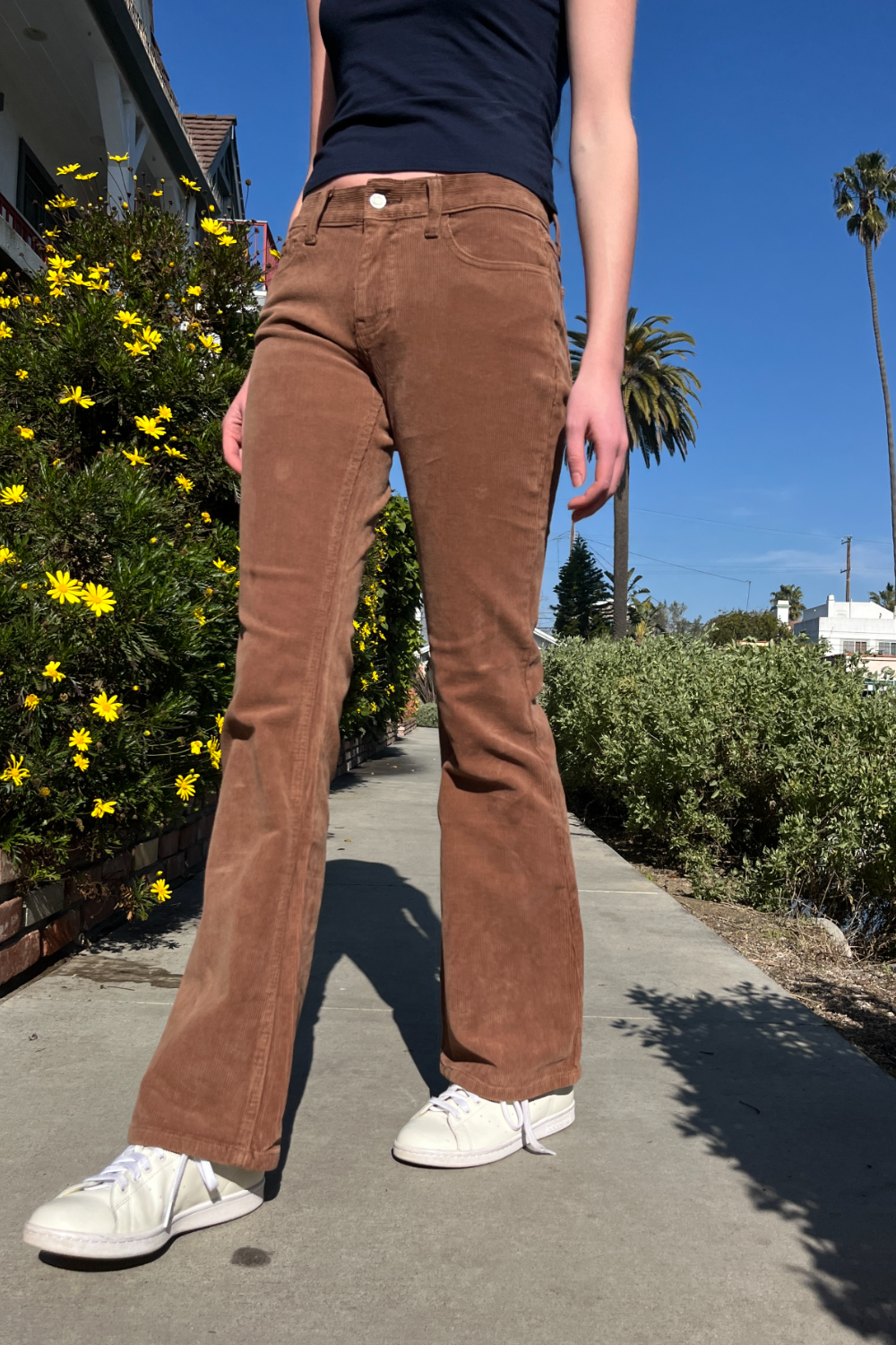 Brown Corduroy / S