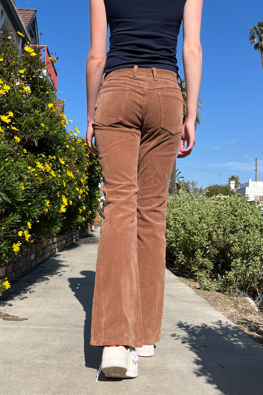 Brown Corduroy / S
